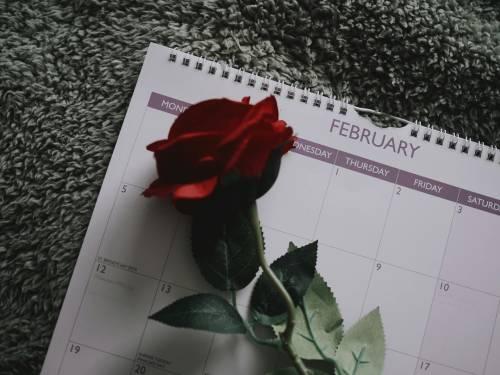 February 2026 Celebrations: 28 Days of Memorable Events